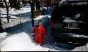 Mary in the Driveway
