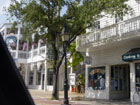Click for large view of #147