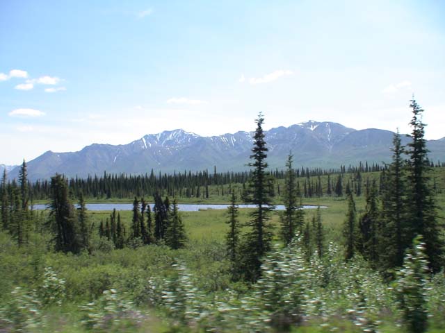 DSC03081