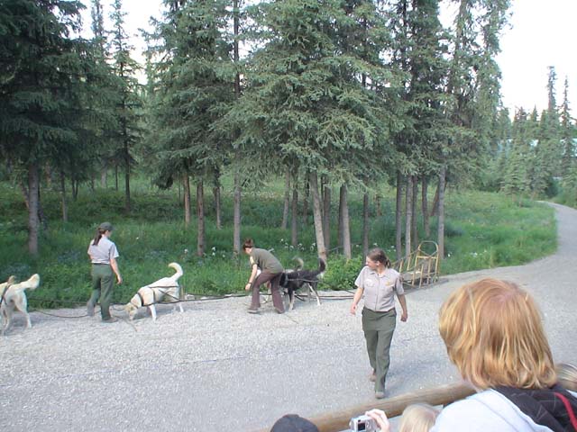 DSC03098