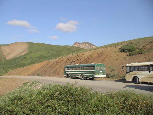 DSC03115