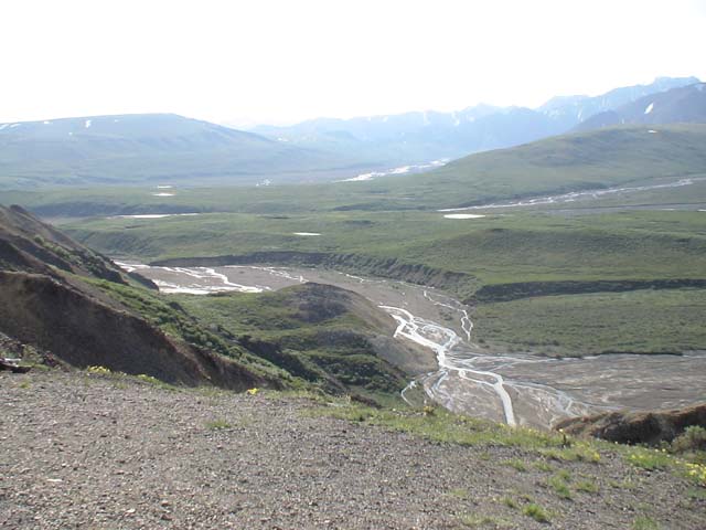 DSC03118