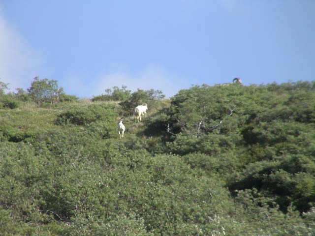 DSC03122