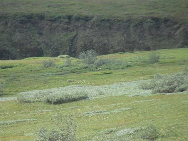 DSC03130