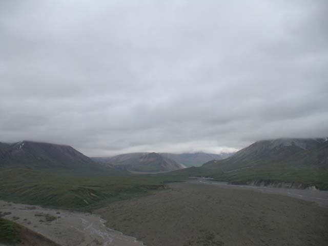 DSC03137