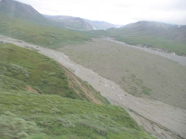 DSC03138