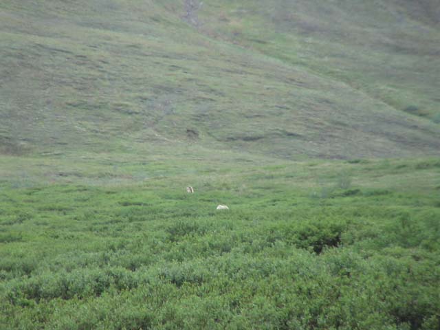 DSC03141