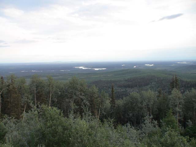 DSC03156