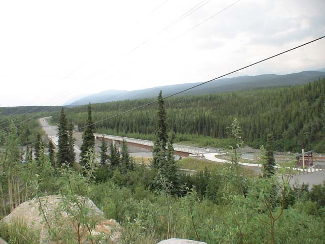 DSC03162