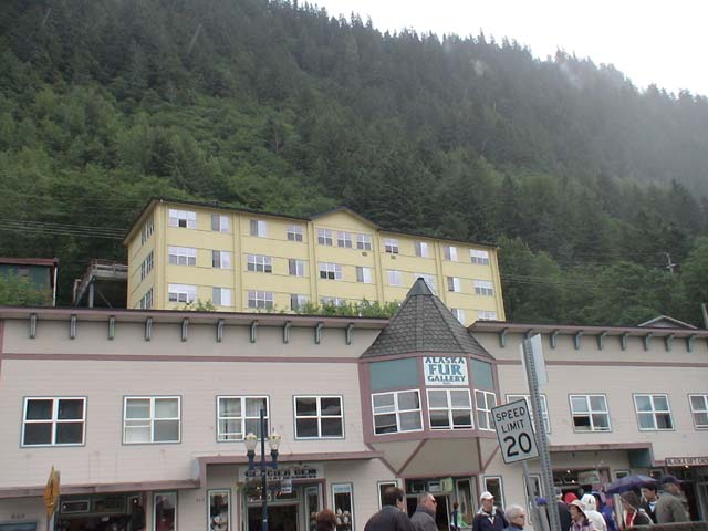 DSC03229