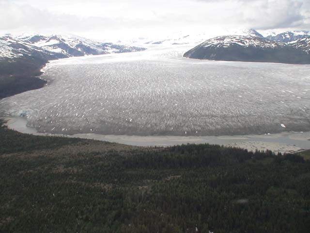DSC03248