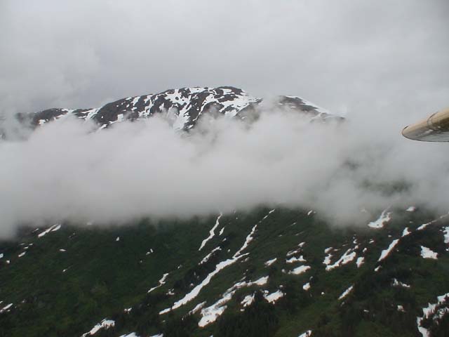 DSC03289