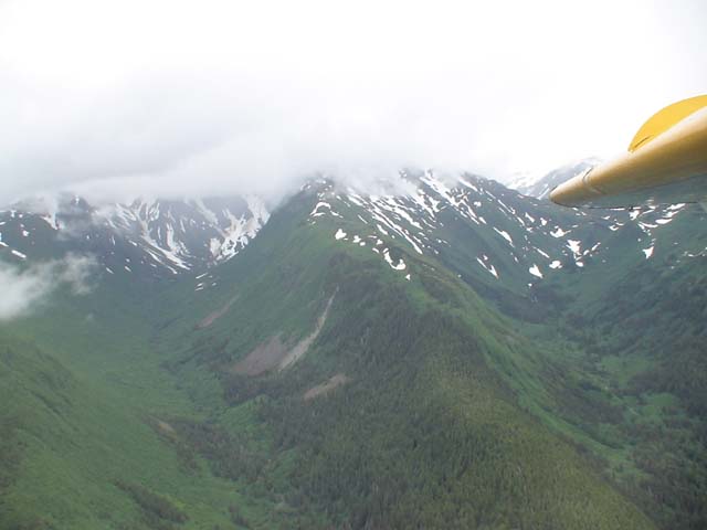 DSC03290