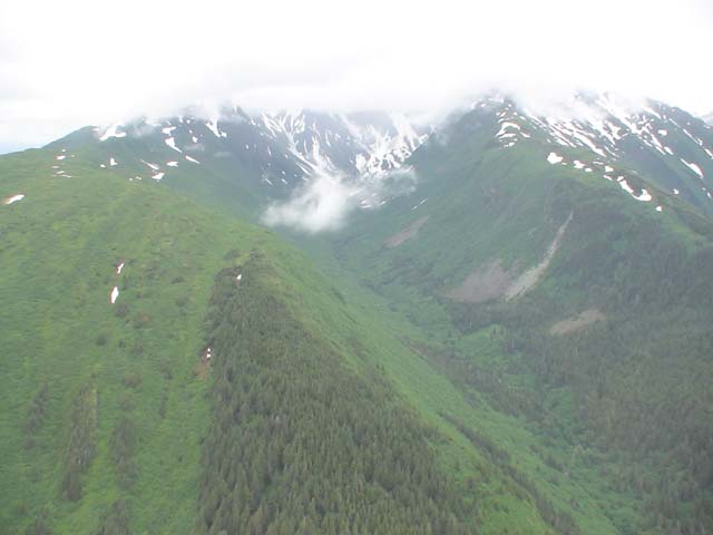 DSC03291