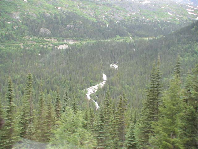 DSC03361