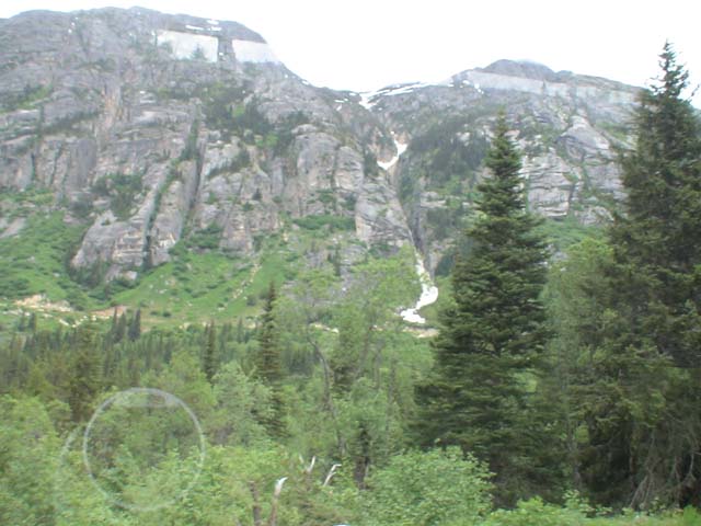 DSC03368