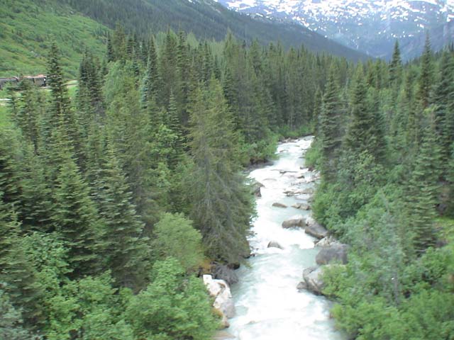 DSC03373