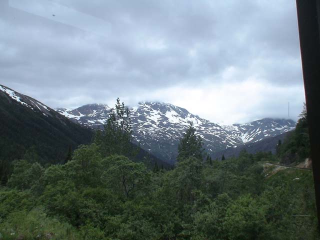 DSC03374