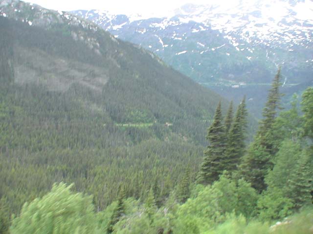 DSC03377