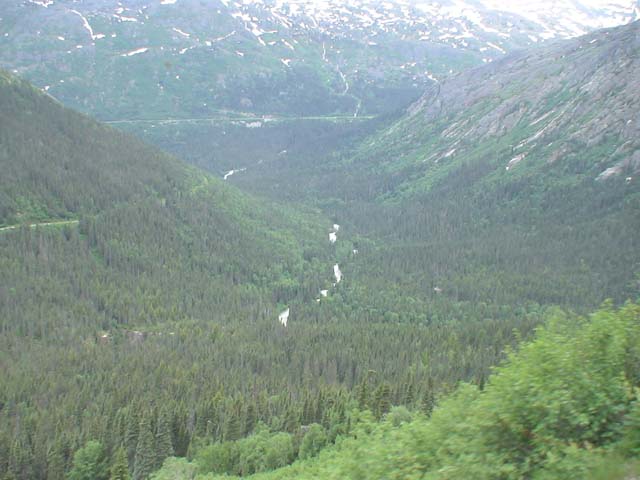 DSC03379