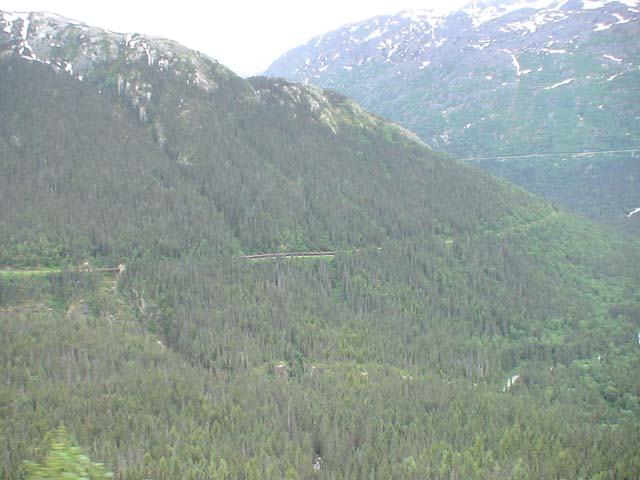 DSC03421