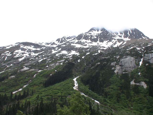 DSC03427