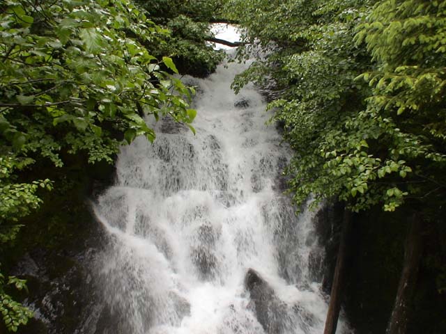 DSC03514