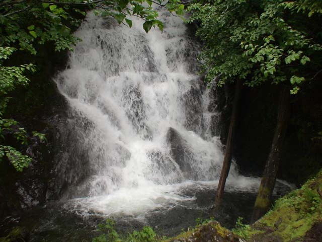 DSC03515