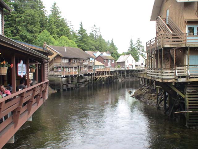 DSC03542