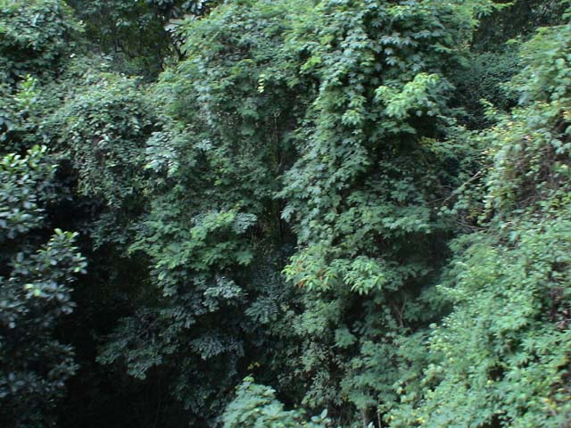 DSC00235
