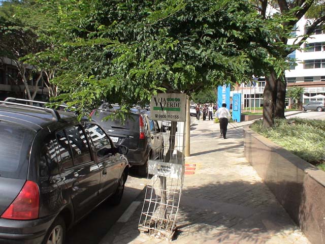 DSC00329