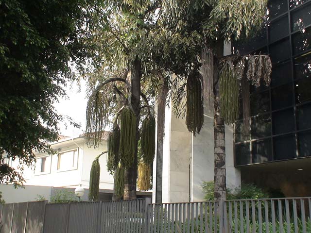 DSC00354