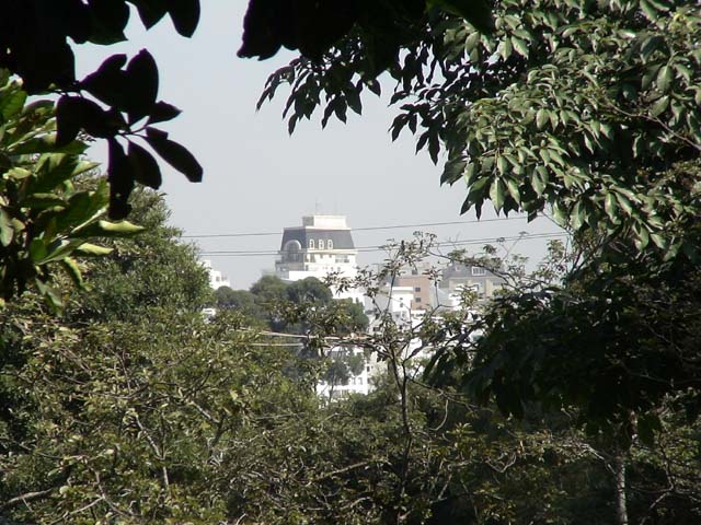 DSC00363