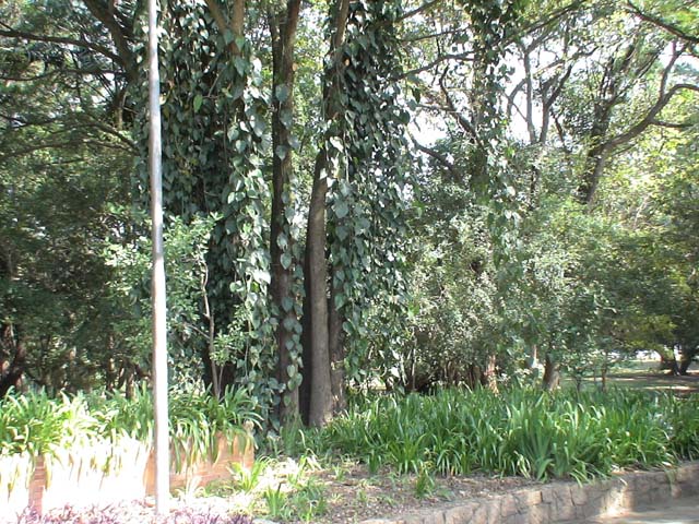 DSC00369