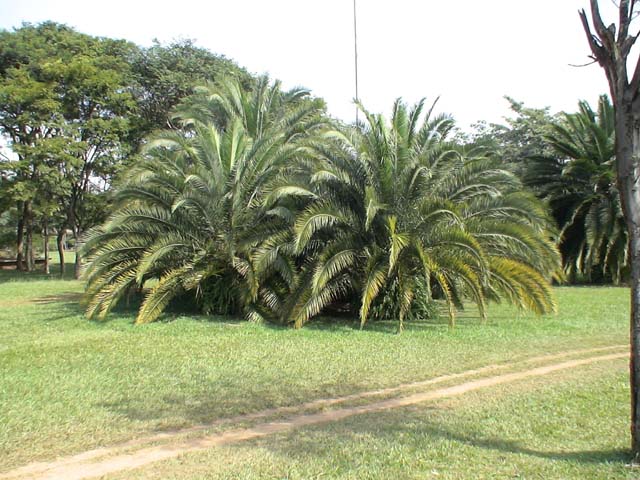 DSC00381