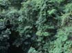 DSC00235