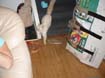DSC05996