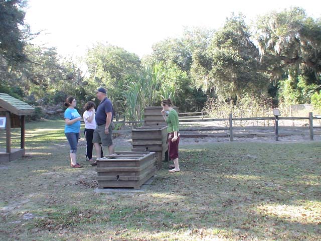 DSC06205