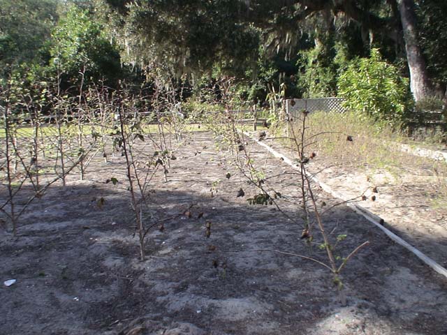 DSC06206