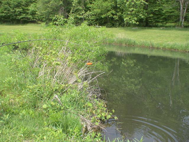 DSC06540