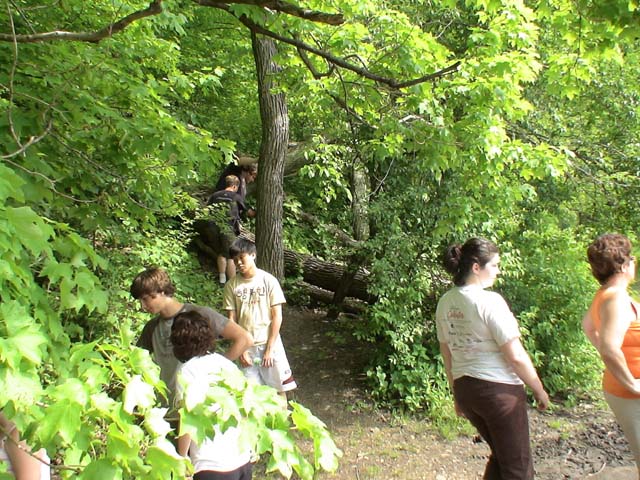 DSC06565