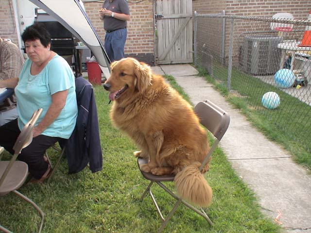 DSC06645