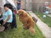 DSC06645