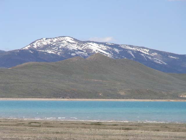 DSC06342