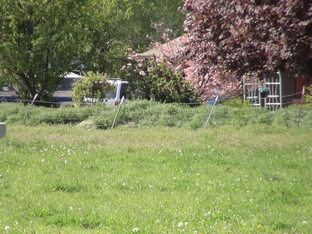 DSC06347